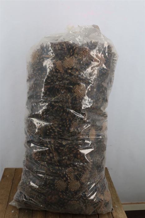 <h4>Pinecone Oostenrijker 10kg Natural</h4>