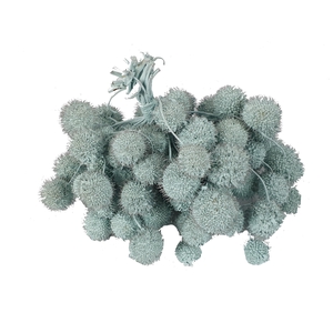 Small ball per bunch in poly Light Blue