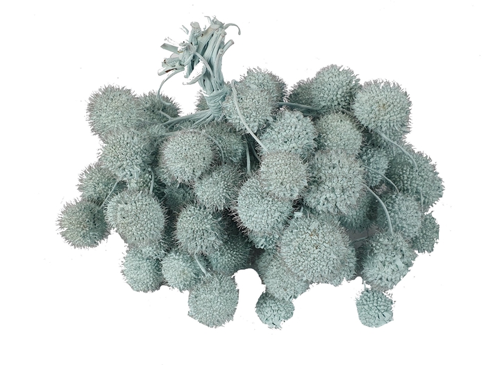 Small ball per bunch in poly Light Blue