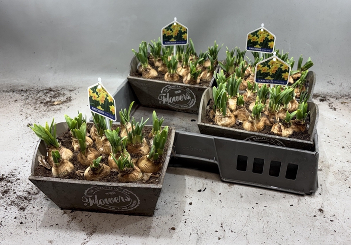 <h4>ARR N TETE A TETE</h4>