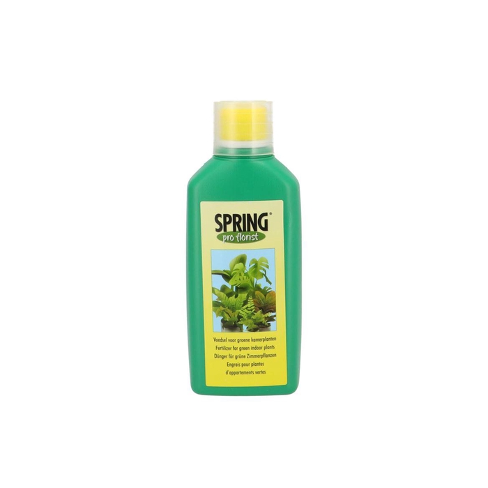 <h4>Floristry Spring Nutrition Green Plant 500ml P/8</h4>