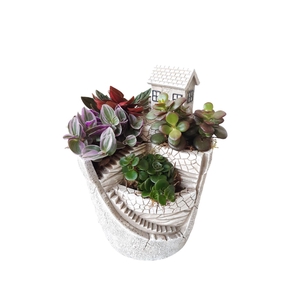 Arr.   Kamerplant Groen H%