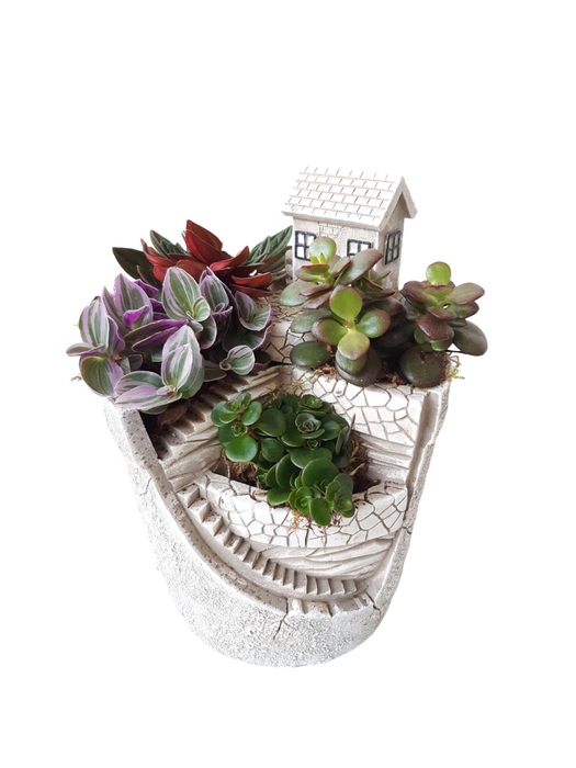 <h4>Arr.   Kamerplant Groen H%</h4>