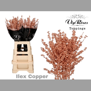 ILEX  COPPER 60 cm