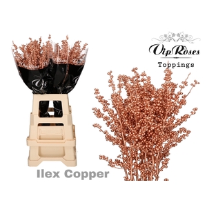 ILEX  COPPER 60 cm