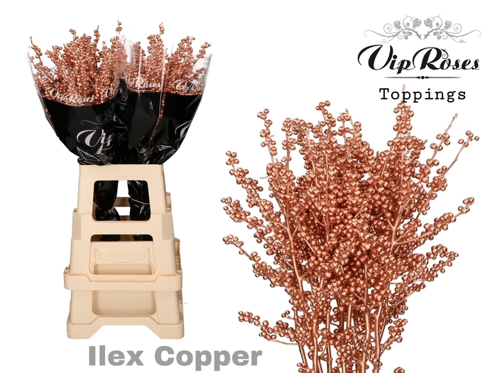 <h4>ILEX  COPPER 60 cm</h4>