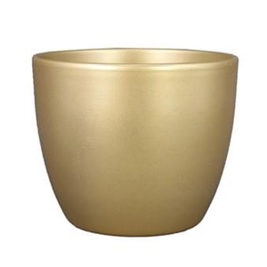 Coupe Boule d22.5 h9.5cm perle d or