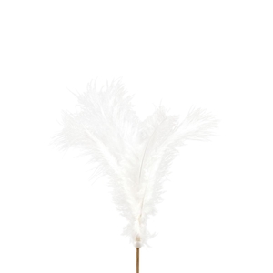 Bijsteker 50cm Veren 10cm
