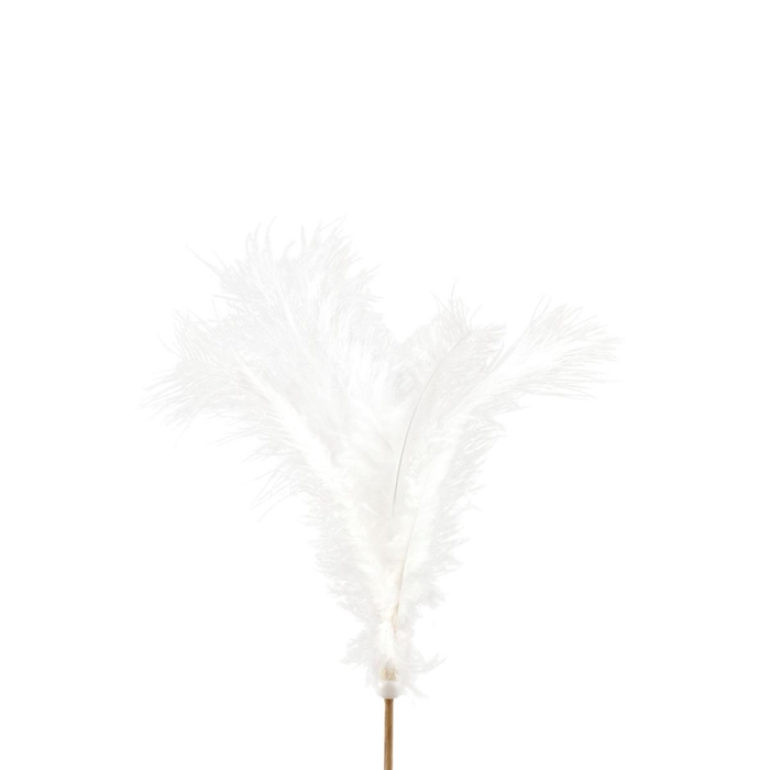 <h4>Bijsteker 50cm Veren 10cm</h4>