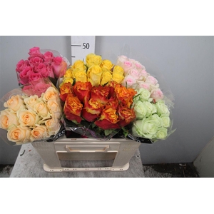 R Gr Gemengd In Fust