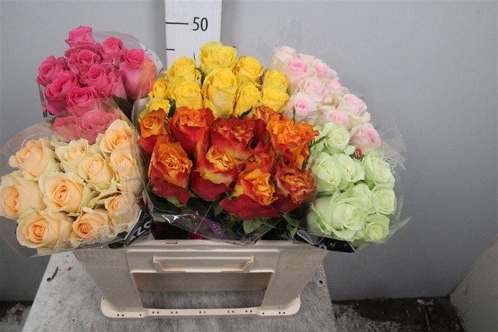 <h4>R Gr Gemengd In Fust</h4>