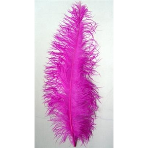 DROOG STRUISVOGELVEREN FUCHSIA