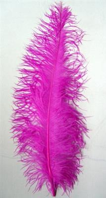 <h4>DROOG STRUISVOGELVEREN FUCHSIA</h4>