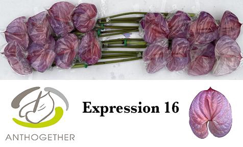 <h4>Anthurium Anth A Ov Klb H</h4>