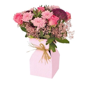 Vaas Basic kraft karton+plastic 11.5xH21cm roze