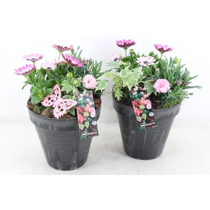 arr4 Outdoor MB - Kunststof bloempot black