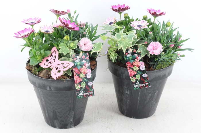 <h4>arr4 Outdoor MB - Kunststof bloempot black</h4>