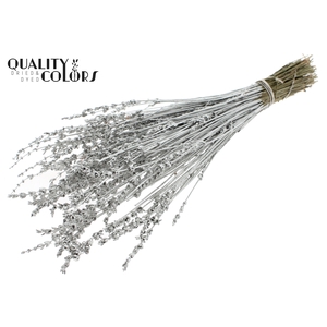 Lavendel per bunch Platina