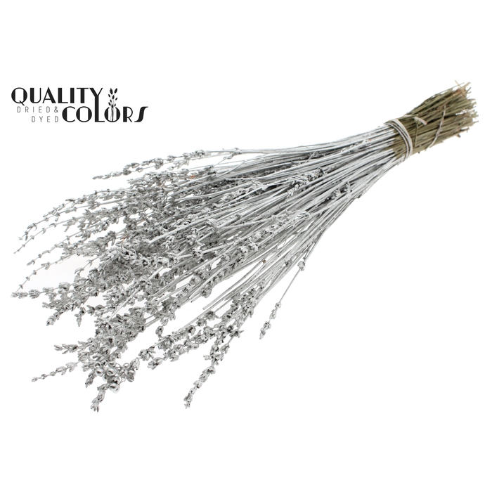 <h4>Lavendel per bunch Platina</h4>