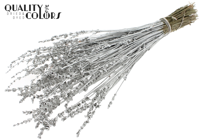 Lavendel per bunch Platina