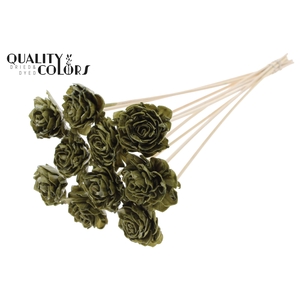 Shola Dhaliya 6cm on stem Wax Olive