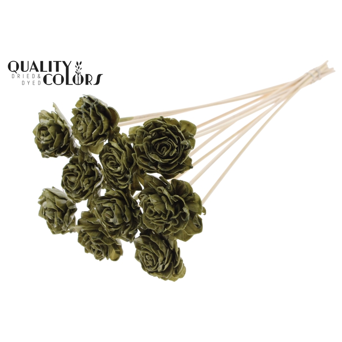 <h4>Shola Dahlia 6cm on stem Wax Olive</h4>