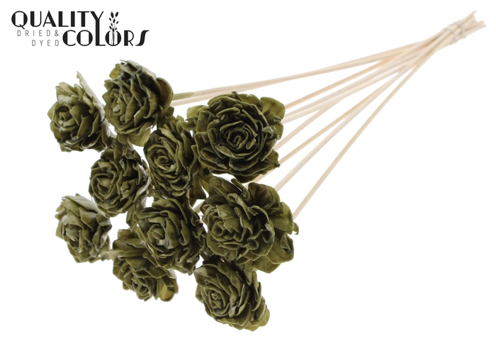 Shola Dahlia 6cm on stem Wax Olive