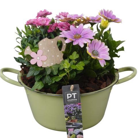 <h4>PTPP6845 Arrangement Patio in metalen schaal</h4>