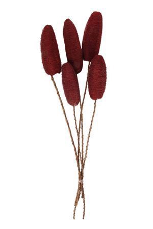 <h4>Deco Luffa 5pc Red Bunch Slv</h4>