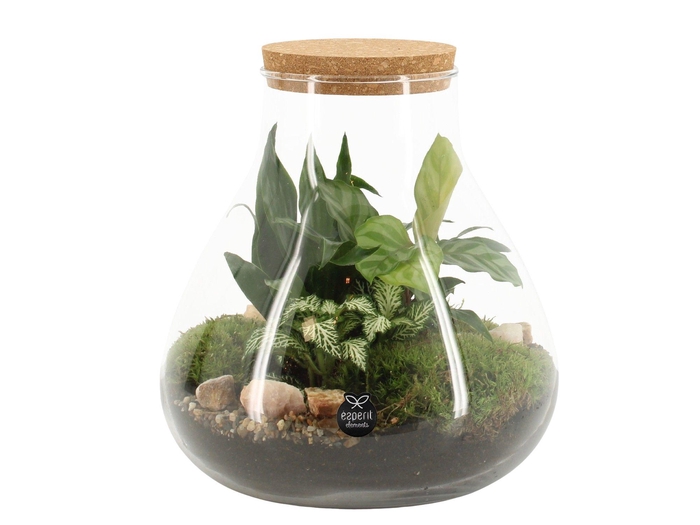 <h4>90078: Terrarium arrangement</h4>