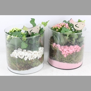 arr2 PL - Glas cilinder 15x15 - roze/wit