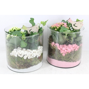 arr2 PL - Glas cilinder 15x15 - roze/wit