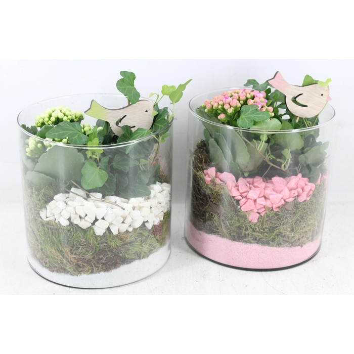 <h4>Arr2 Pl - Glas Cilinder 15x15 - Roze/wit</h4>