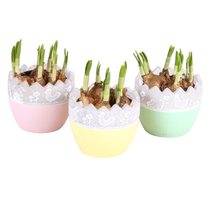 <h4>Easter Arr. Indoor Ceramic Twotone Egg Ø11cm 1PP</h4>