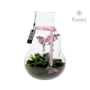 Green Bottle Olaf Large met Moederdag arrangement