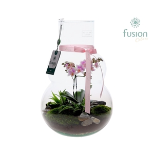 Green Bottle Olaf Large met Moederdag arrangement