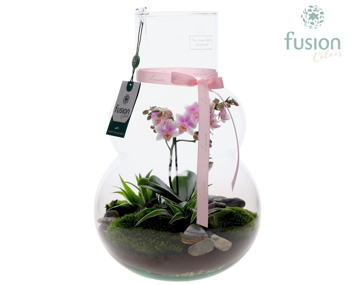 <h4>Green Bottle Olaf Large met Moederdag arrangement</h4>