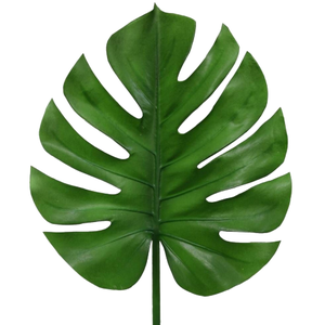 FOLHAGEM MONSTERA DELICIOSA 030 CM