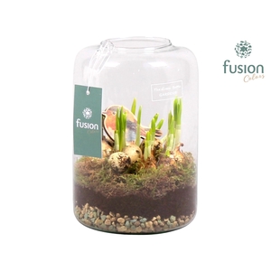 Green Bottle Isabella Medium Pasen met Narcissen