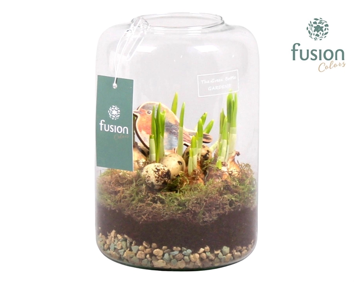 <h4>Green Bottle Isabella Medium Pasen met Narcissen</h4>