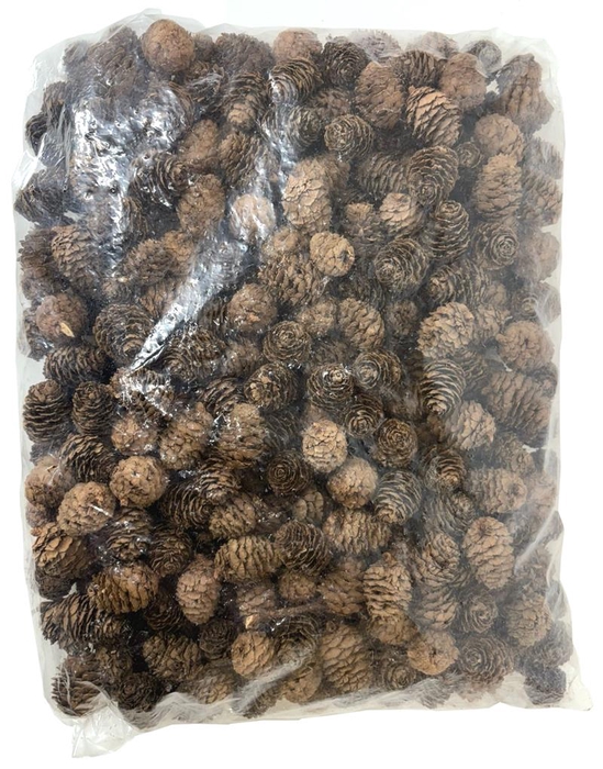 <h4>1202 Larikskogels 1 kg</h4>