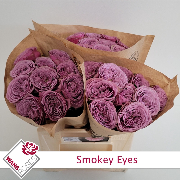 <h4>R GR SMOKEY EYES</h4>