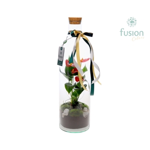 Green Bottle Fles Large Kerst met Anthurium