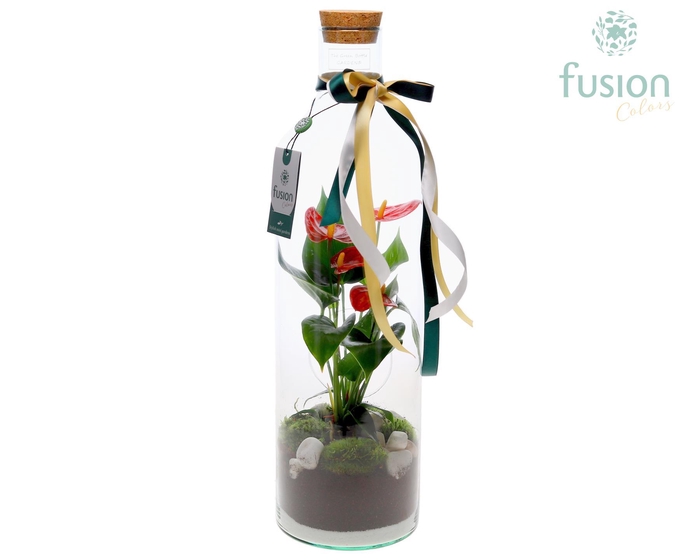<h4>Green Bottle Fles Large Kerst met Anthurium</h4>