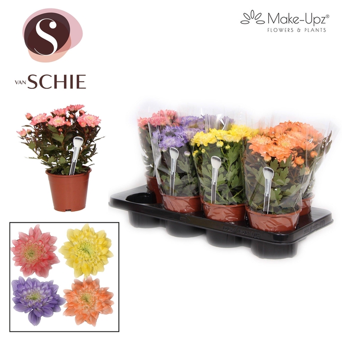 <h4>Chr Grandezza Make-Upz® UNO Mix 2</h4>