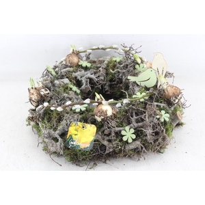 arr4 Narcis MB - Krans birds