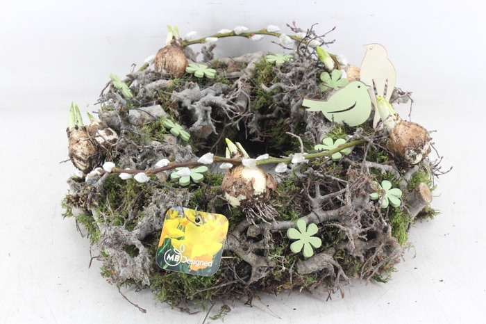 <h4>arr4 Narcis MB - Krans birds</h4>