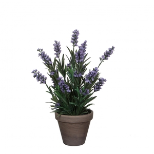 Pot Lavendel ang.d11/20*33cm