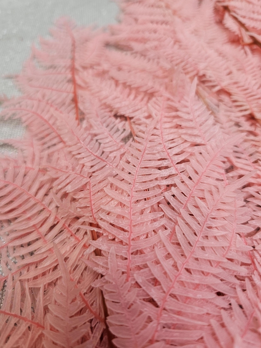 <h4>GESTABILISEERD VAREN LICHT ROZE</h4>