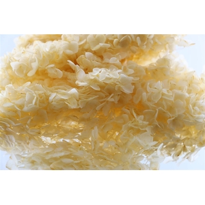 Pres Hydrangea Soft Yellow Bunch